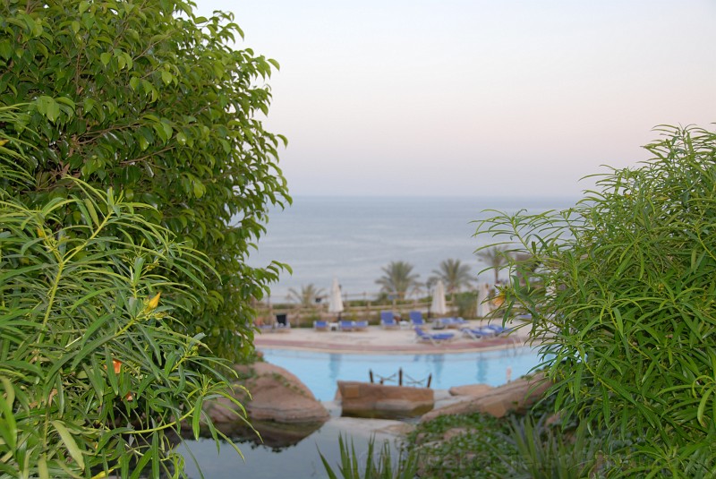 003_egipt_sharm.jpg - Widok 'zza krzaka' na basen i morze :-)