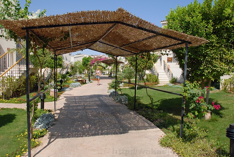 008_egipt_sharm.jpg - Alejka wśród pięknej zieleni na terenie naszego hotelu.