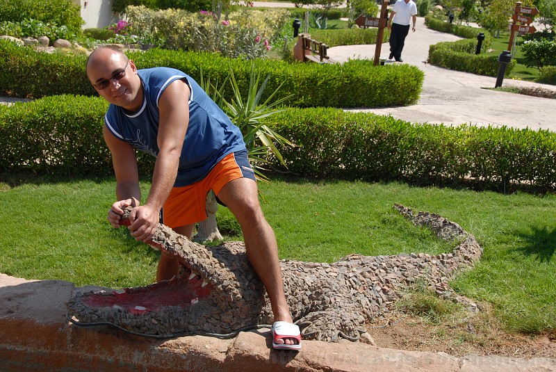 010_egipt_sharm.jpg - Na terenie hotelu można było się natknąć na niezłego gada ;-)