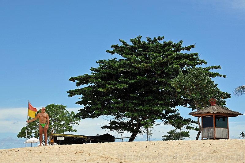 043_wyspa_bali.jpg - Na plaży oprócz palm rosły również piękne drzewka
