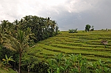 295_wyspa_bali